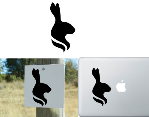 Rabbit Version V