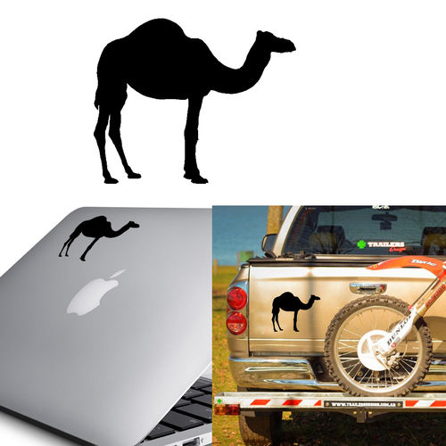 Camello v3 dcha